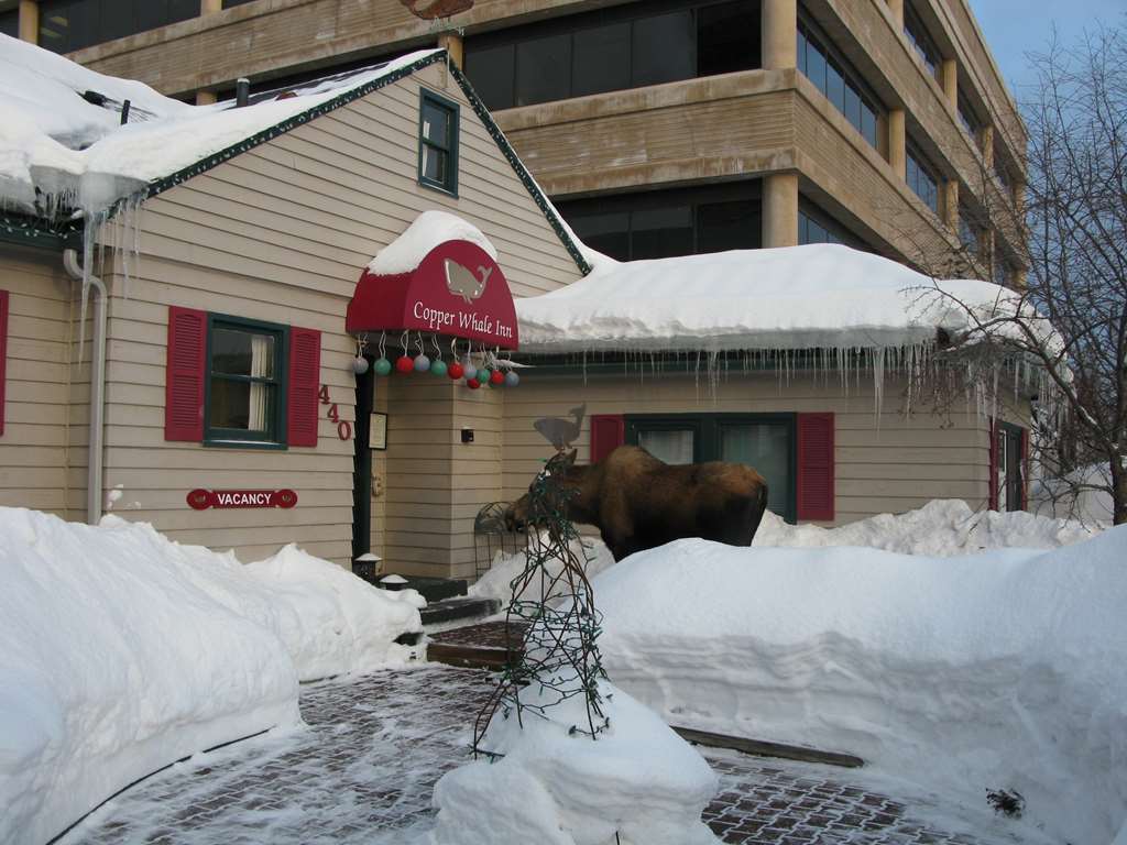Copper Whale Inn แองเคอเรจ ภายนอก รูปภาพ